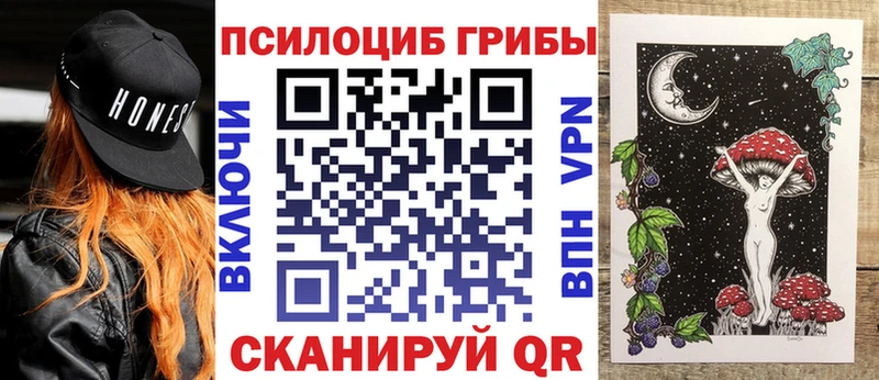 маркетплейс как зайти  Урень  Галлюциногенные грибы прущие грибы 